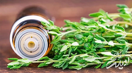 طرز تهیه روغن آویشن, فواید دارویی روغن آویشن, روغن آویشن